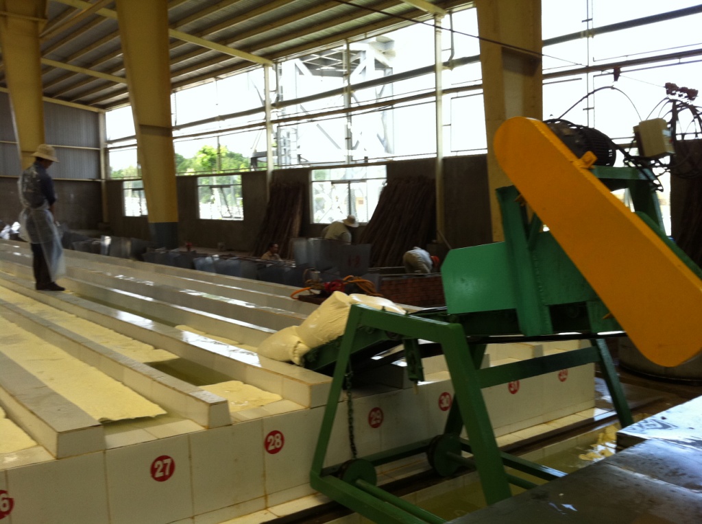 Quy trình sản xuất cao su thiên nhiên